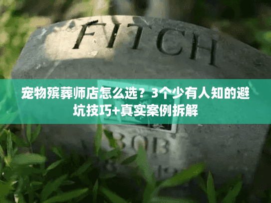 宠物殡葬师店怎么选？3个少有人知的避坑技巧+真实案例拆解
