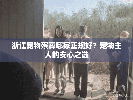 浙江宠物殡葬哪家正规好？宠物主人的安心之选