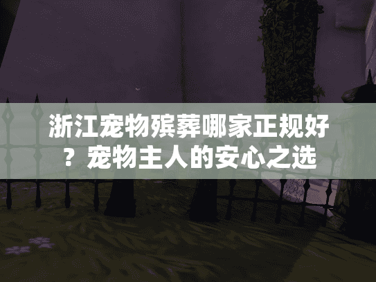 浙江宠物殡葬哪家正规好？宠物主人的安心之选