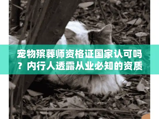 宠物殡葬师资格证国家认可吗？内行人透露从业必知的资质真相