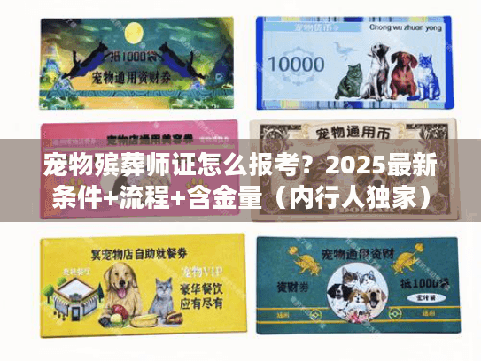 宠物殡葬师证怎么报考？2025最新条件+流程+含金量（内行人独家）