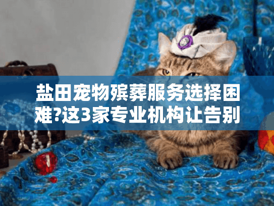 盐田宠物殡葬服务选择困难?这3家专业机构让告别更安心