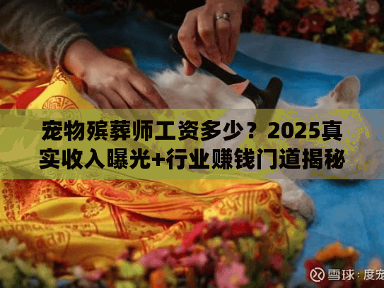 宠物殡葬师工资多少?2025真实收入曝光+行业赚钱门道揭秘 宠物殡葬师工资多少?2025真实收入曝光+行业赚钱门道揭秘