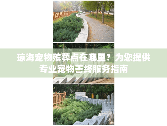 琼海宠物殡葬点在哪里?为您提供专业宠物善终服务指南 琼海宠物殡葬点在哪里?为您提供专业宠物善终服务指南