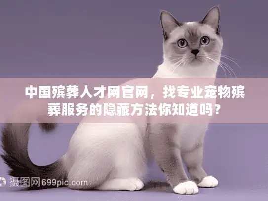 中国殡葬人才网官网，找专业宠物殡葬服务的隐藏方法你知道吗？