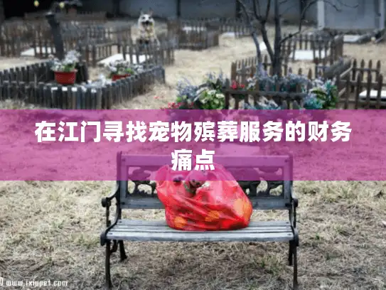 在江门寻找宠物殡葬服务的财务痛点