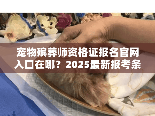 宠物殡葬师资格证报名官网入口在哪？2025最新报考条件+行业内幕揭秘