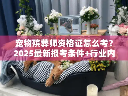 宠物殡葬师资格证怎么考？2025最新报考条件+行业内幕全揭秘