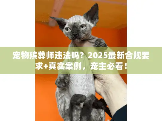 宠物殡葬师违法吗？2025最新合规要求+真实案例，宠主必看！
