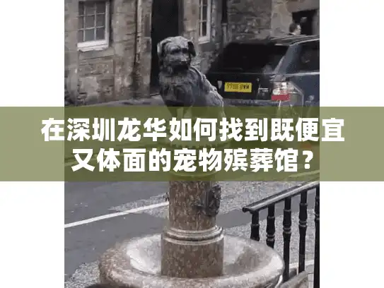 在深圳龙华如何找到既便宜又体面的宠物殡葬馆？