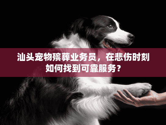 汕头宠物殡葬业务员，在悲伤时刻如何找到可靠服务？