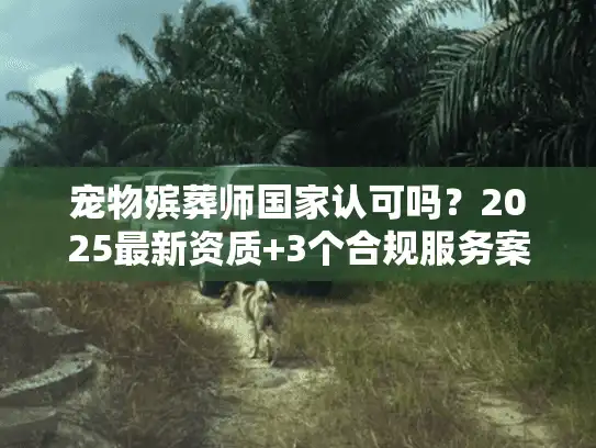 宠物殡葬师国家认可吗？2025最新资质+3个合规服务案例揭秘