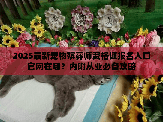 2025最新宠物殡葬师资格证报名入口官网在哪？内附从业必备攻略