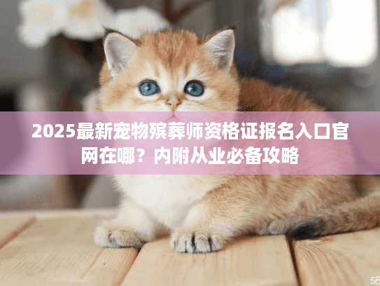 2025最新宠物殡葬师资格证报名入口官网在哪？内附从业必备攻略