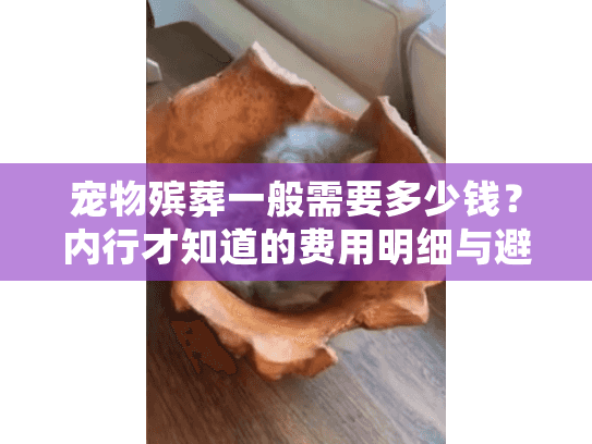 宠物殡葬一般需要多少钱？内行才知道的费用明细与避坑技巧