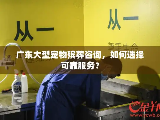 广东大型宠物殡葬咨询,如何选择可靠服务? 广东大型宠物殡葬咨询,如何选择可靠服务?