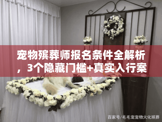 宠物殡葬师报名条件全解析，3个隐藏门槛+真实入行案例，看完再决定！