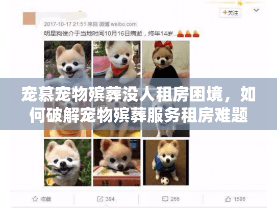 宠慕宠物殡葬没人租房困境，如何破解宠物殡葬服务租房难题？