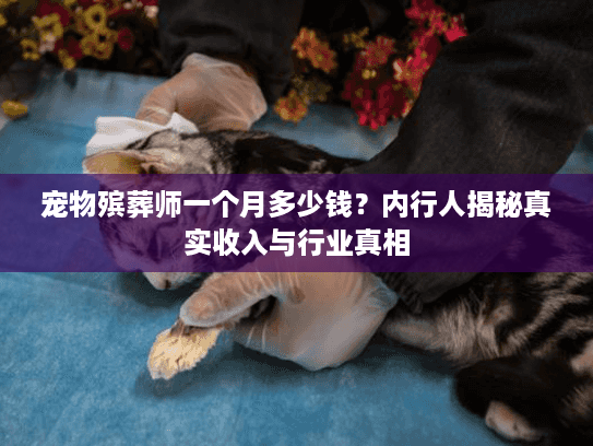 宠物殡葬师一个月多少钱？内行人揭秘真实收入与行业真相
