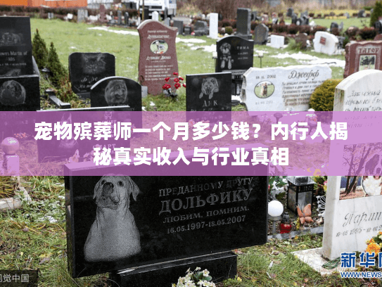 宠物殡葬师一个月多少钱？内行人揭秘真实收入与行业真相