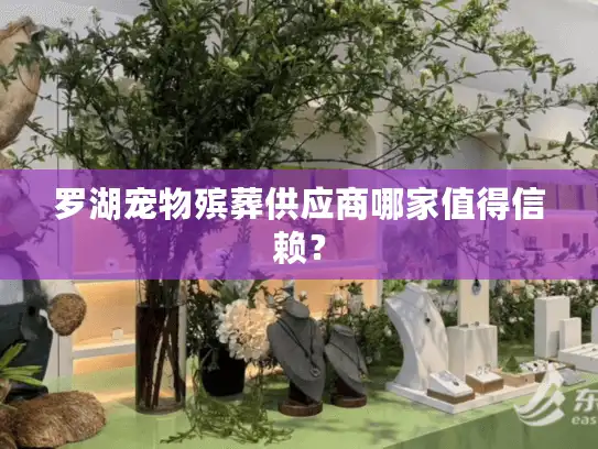 罗湖宠物殡葬供应商哪家值得信赖？