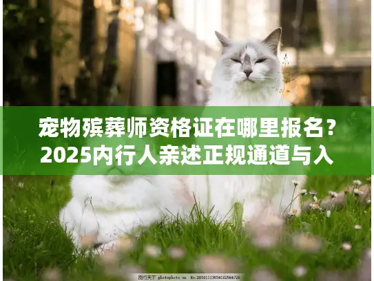 宠物殡葬师资格证在哪里报名？2025内行人亲述正规通道与入行门槛