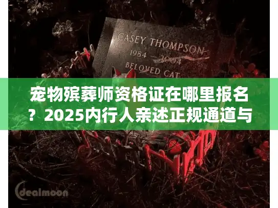 宠物殡葬师资格证在哪里报名？2025内行人亲述正规通道与入行门槛