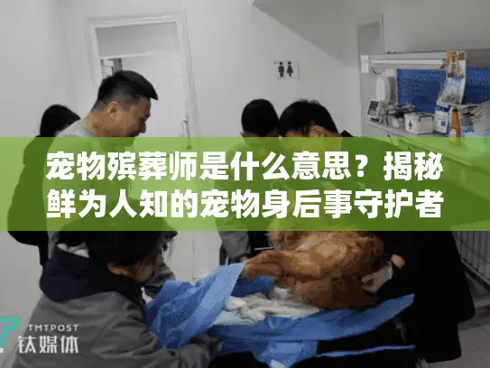 宠物殡葬师是什么意思?揭秘鲜为人知的宠物身后事守护者真实工作 宠物殡葬师是什么意思?揭秘鲜为人知的宠物身后事守护者真实工作