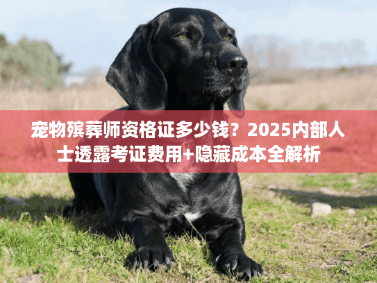 宠物殡葬师资格证多少钱？2025内部人士透露考证费用+隐藏成本全解析