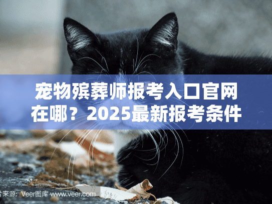 宠物殡葬师报考入口官网在哪？2025最新报考条件+正规资格证获取无坑攻略