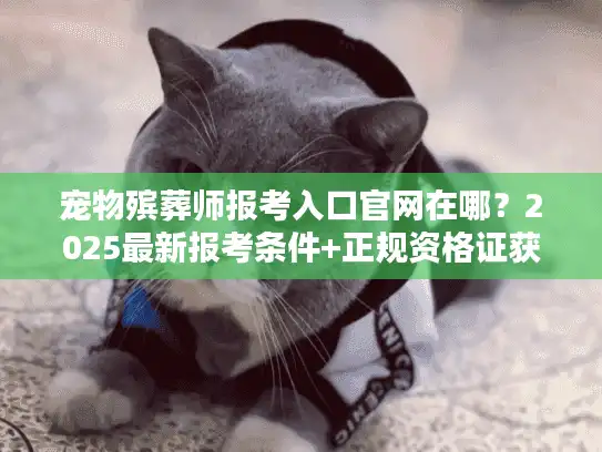 宠物殡葬师报考入口官网在哪？2025最新报考条件+正规资格证获取无坑攻略
