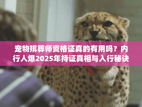 宠物殡葬师资格证真的有用吗？内行人爆2025年持证真相与入行秘诀