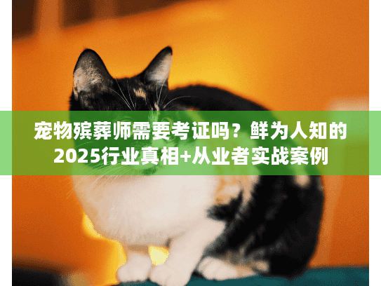 宠物殡葬师需要考证吗?鲜为人知的2025行业真相+从业者实战案例 宠物殡葬师需要考证吗?鲜为人知的2025行业真相+从业者实战案例