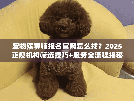 宠物殡葬师报名官网怎么找？2025正规机构筛选技巧+服务全流程揭秘（含资质查询入口）