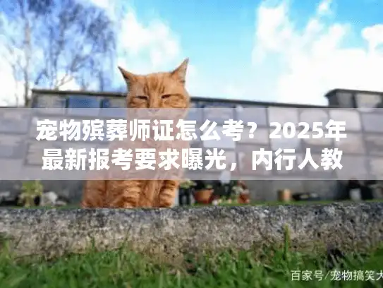 宠物殡葬师证怎么考?2025年最新报考要求曝光,内行人教你少走弯路 宠物殡葬师证怎么考?2025年最新报考要求曝光,内行人教你少走弯路
