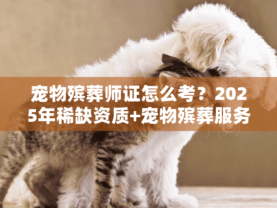 宠物殡葬师证怎么考?2025年稀缺资质+宠物殡葬服务从业者必看内幕 宠物殡葬师证怎么考?2025年稀缺资质+宠物殡葬服务从业者必看内幕