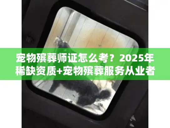 宠物殡葬师证怎么考?2025年稀缺资质+宠物殡葬服务从业者必看内幕 宠物殡葬师证怎么考?2025年稀缺资质+宠物殡葬服务从业者必看内幕