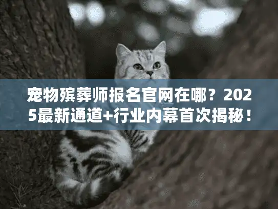 宠物殡葬师报名官网在哪?2025最新通道+行业内幕首次揭秘! 宠物殡葬师报名官网在哪?2025最新通道+行业内幕首次揭秘!