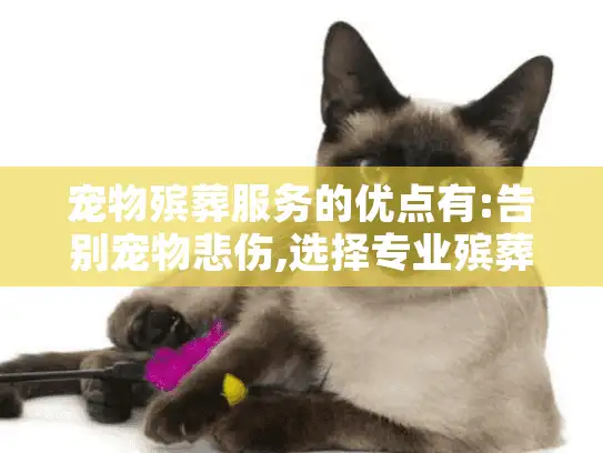 宠物殡葬服务的优点有:告别宠物悲伤,选择专业殡葬服务