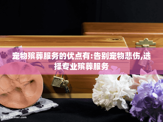 宠物殡葬服务的优点有:告别宠物悲伤,选择专业殡葬服务