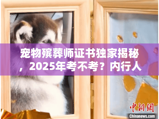 宠物殡葬师证书独家揭秘，2025年考不考？内行人说透行业门槛与服务差异