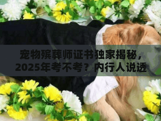 宠物殡葬师证书独家揭秘，2025年考不考？内行人说透行业门槛与服务差异
