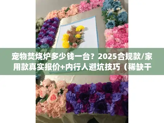 宠物焚烧炉多少钱一台？2025合规款/家用款真实报价+内行人避坑技巧（稀缺干货）