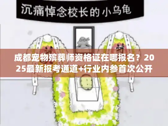 成都宠物殡葬师资格证在哪报名？2025最新报考通道+行业内参首次公开