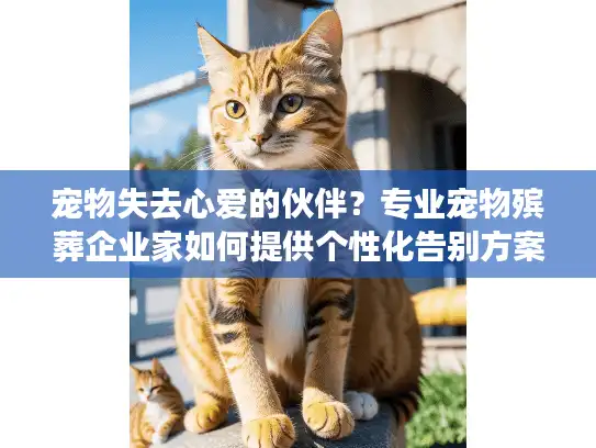 宠物失去心爱的伙伴？专业宠物殡葬企业家如何提供个性化告别方案