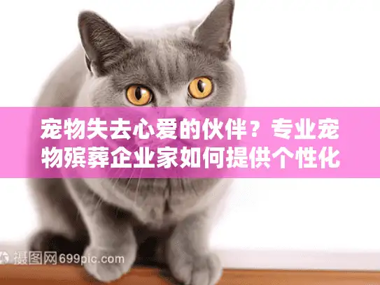 宠物失去心爱的伙伴？专业宠物殡葬企业家如何提供个性化告别方案