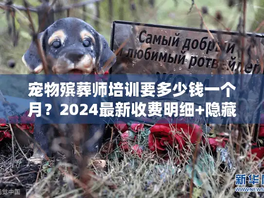 宠物殡葬师培训要多少钱一个月?2024最新收费明细+隐藏成本揭秘! 宠物殡葬师培训要多少钱一个月?2024最新收费明细+隐藏成本揭秘!