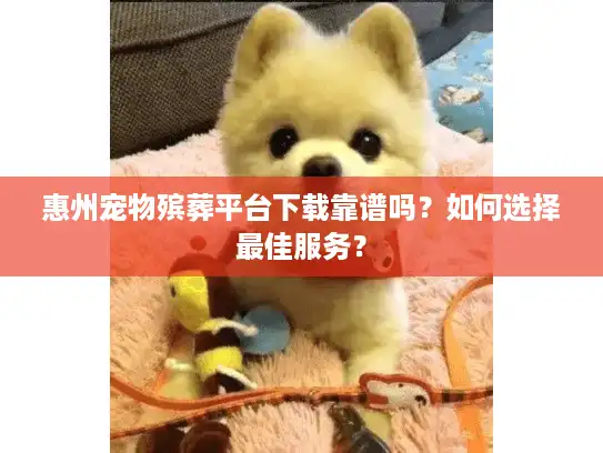 惠州宠物殡葬平台下载靠谱吗？如何选择最佳服务？