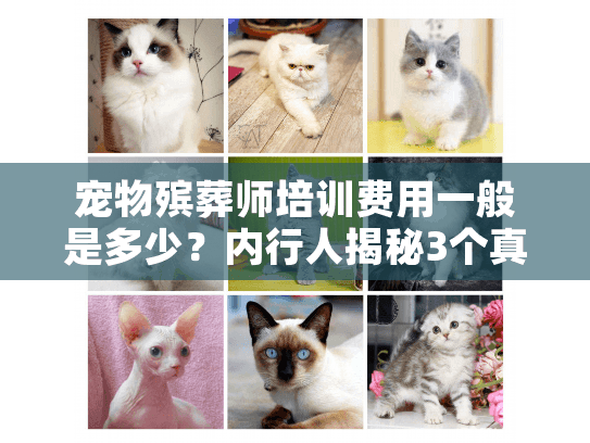 宠物殡葬师培训费用一般是多少?内行人揭秘3个真实案例的收费真相 宠物殡葬师培训费用一般是多少?内行人揭秘3个真实案例的收费真相