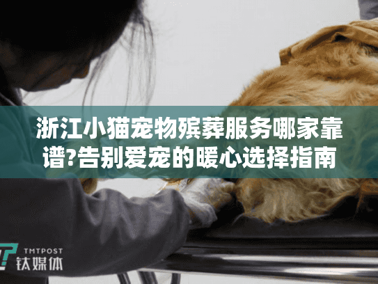 浙江小猫宠物殡葬服务哪家靠谱?告别爱宠的暖心选择指南
